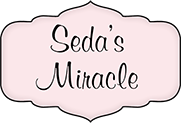 Seda's Miracle DEV