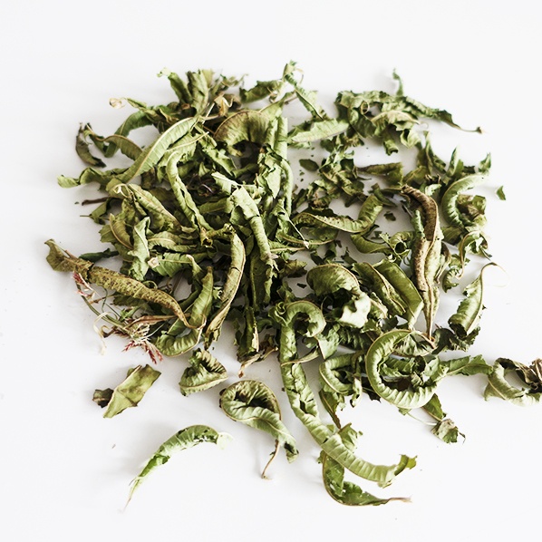 Verbena thee