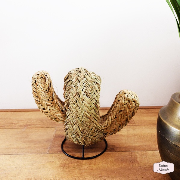 Marokkaanse Essaouira cactus, small