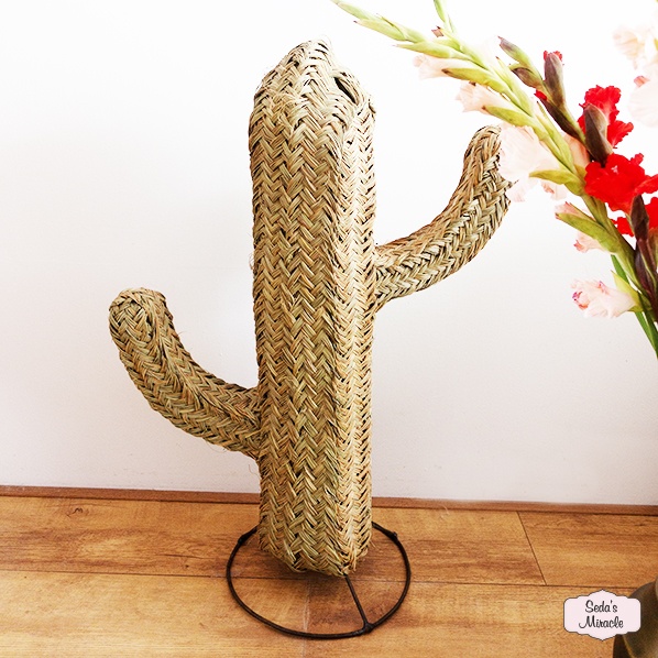 Marokkaanse Essaouira cactus van zeegras, large