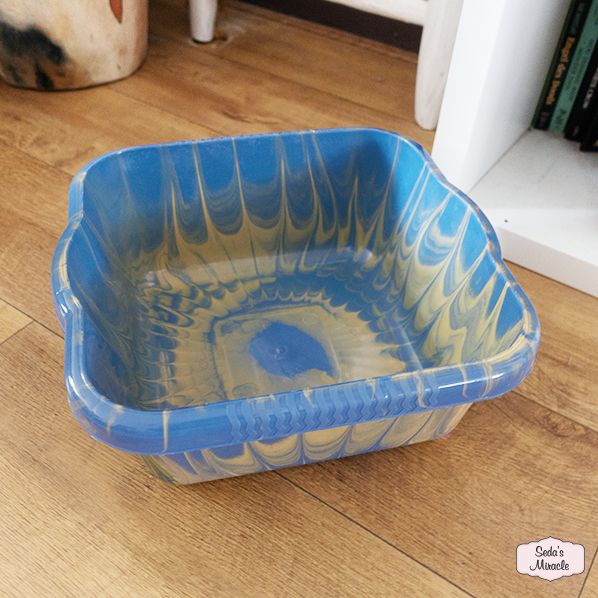 Afrikaanse teil, blauw geel, medium